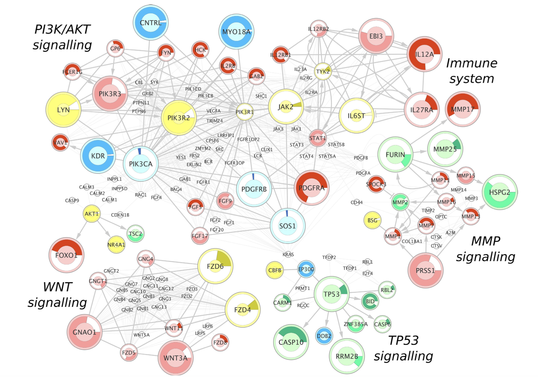 Computational Biology Group