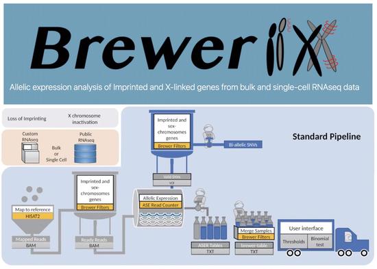 BrewerIX